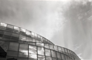 Pinhole-Negs-Edif5